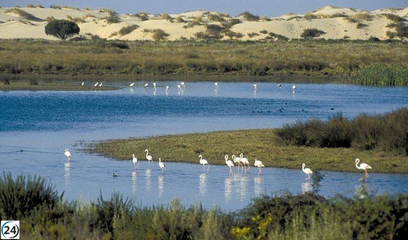 Ribera critica la decisión de Andalucía de construir un megaresort frente a Doñana.