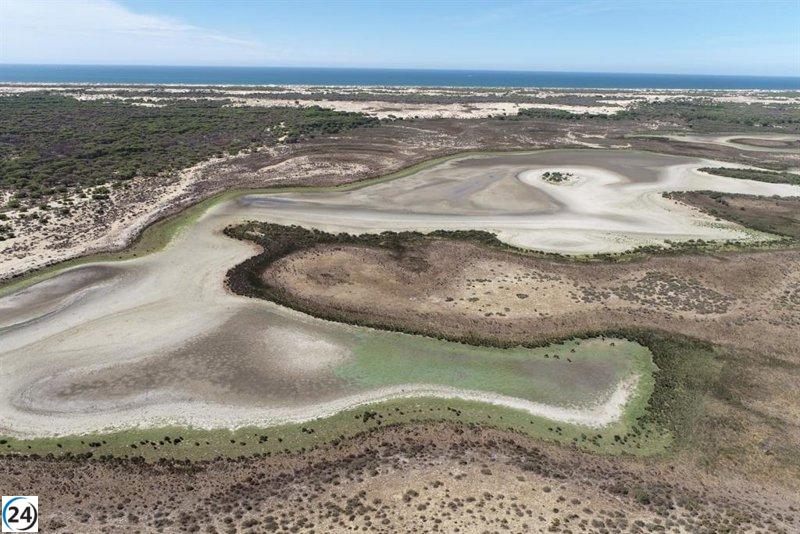 Doñana podría perder su estatus de Patrimonio de la Humanidad con Ley de Regadíos de Andalucía, según UNESCO.