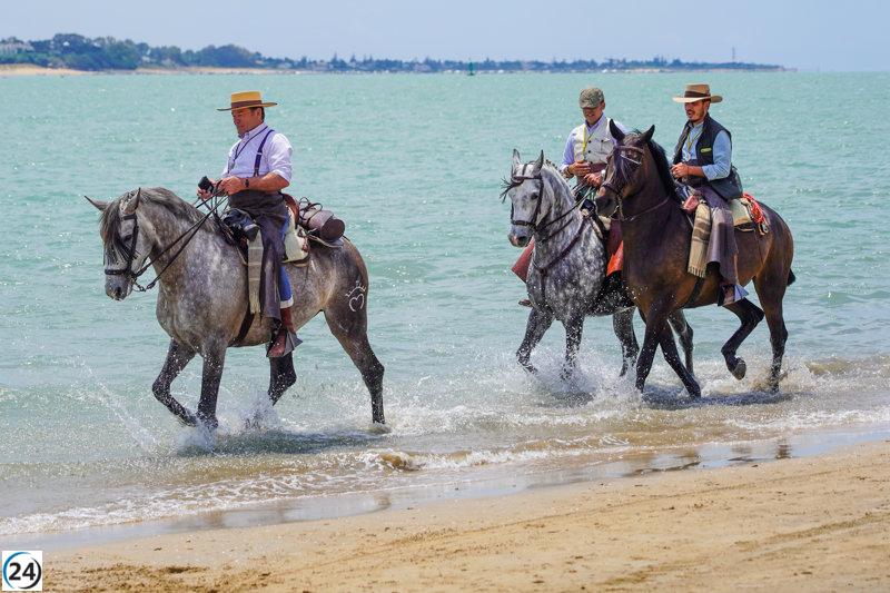 Calviño prevé boicot a la fresa española en Alemania por la causa irresponsable de Doñana.