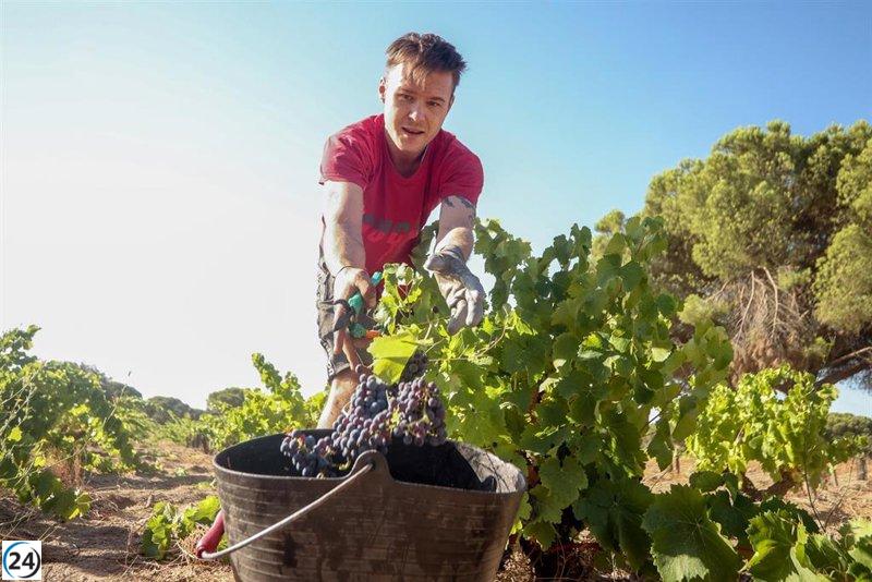 La contratación en agricultura disminuye un 26,9% hasta julio, alcanzando su nivel más bajo desde 2013: informe de Randstad.