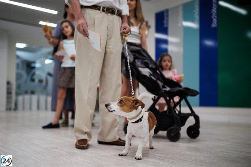 Eliminación de tiendas de animales y circos con leones: La Ley de Bienestar Animal entra en acción este viernes.