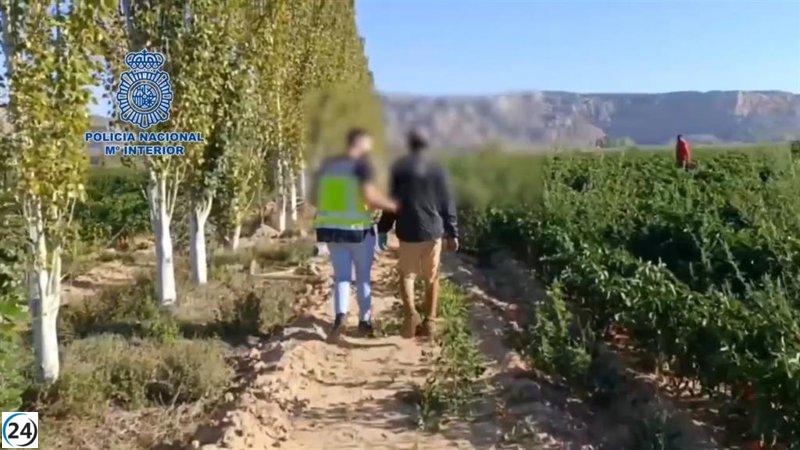Organización criminal que explotaba a inmigrantes en Navarra y Zaragoza es desmantelada