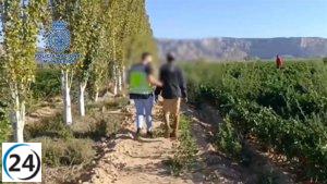 Organización criminal que explotaba a inmigrantes en Navarra y Zaragoza es desmantelada