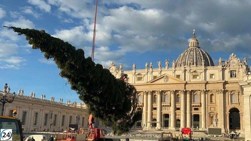El árbol navideño de la Plaza de San Pedro del Vaticano llega y cumple una función sostenible: convertirse en juguetes.