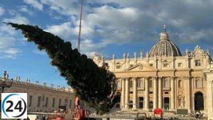 El árbol navideño de la Plaza de San Pedro del Vaticano llega y cumple una función sostenible: convertirse en juguetes.