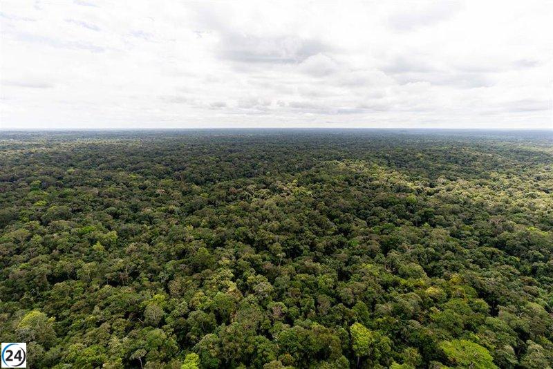 Brasil sorprende en la COP28 con una innovadora propuesta para proteger los bosques tropicales
