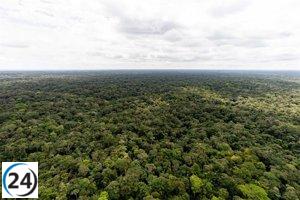 Brasil sorprende en la COP28 con una innovadora propuesta para proteger los bosques tropicales