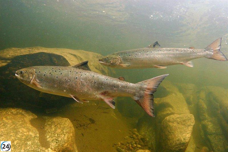 Más de una cuarta parte de las especies de agua dulce en peligro de extinción, según la UICN.