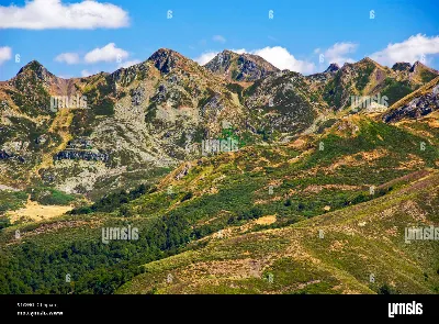 Cordillera Cantábrica: Gran diversidad biológica