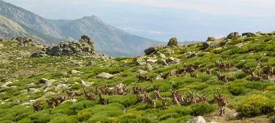 Sierra de Gredos: El centro geográfico de España
