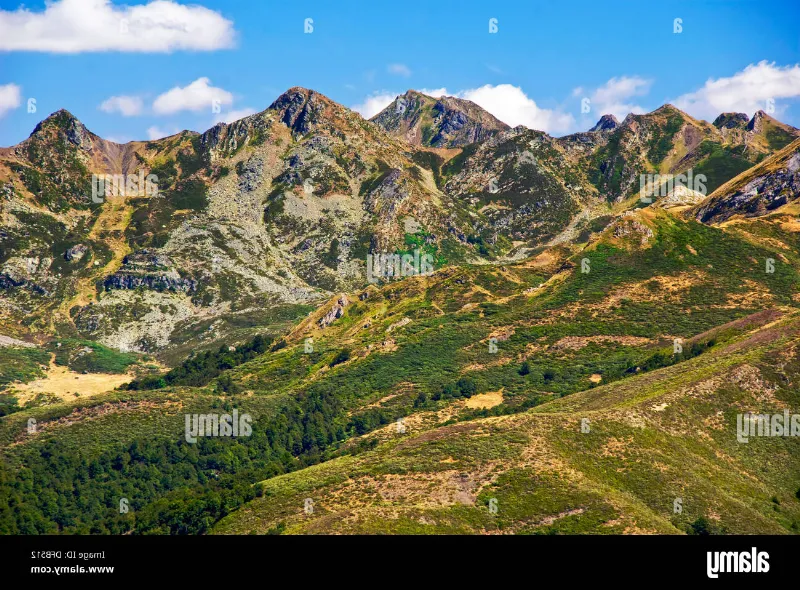 Cordillera Cantábrica: Gran diversidad biológica