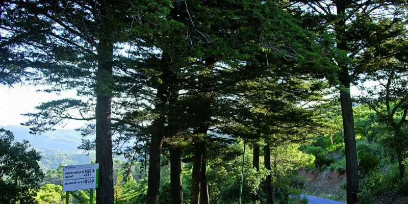Montañas de Montes de Málaga: Senderismo y naturaleza en estado puro