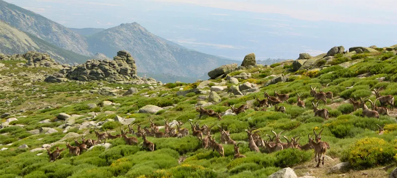 Sierra de Gredos: El centro geográfico de España